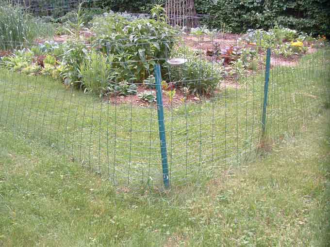https://eadn-wc03-3656787.nxedge.io/cdn/wp-content/uploads/2006/06/simple-garden-fence.jpg