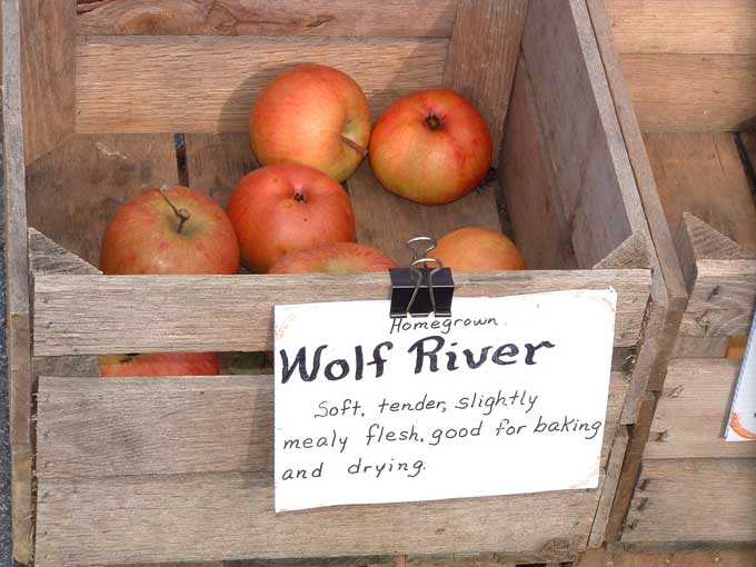 Organic Apples vs. Regular Apples - Does it really matter? - Wake the Wolves