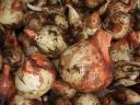 Potato Onion Harvest