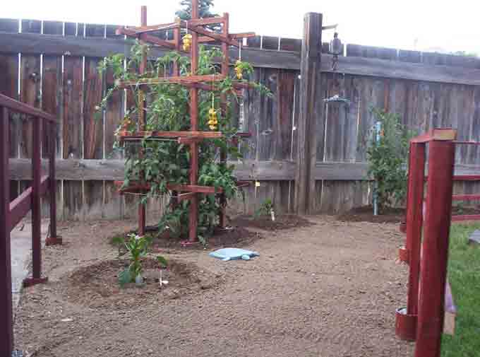 Using Garden Fencing - Veggie Gardening Tips