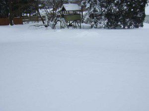 Snow-Covered-Garden