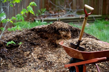 Common Types of Mulch for the Landscape - Veggie Gardening Tips