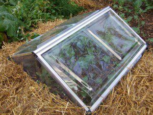 Simple Cold Frame